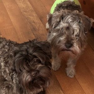 Meet your Posher, Sheila